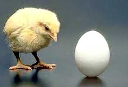 کتاب واقعی شدن در مورد استارتاپ ها